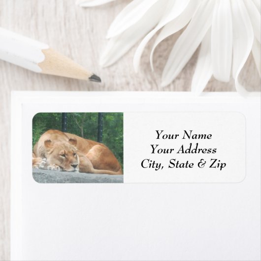 Lion Return Address Labels (Insitu)