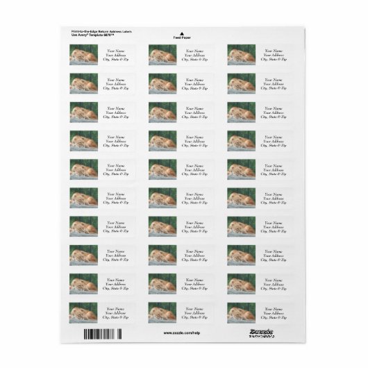 Lion Return Address Labels (Full Sheet)