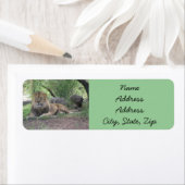 Lion Return Address Labels (Insitu)
