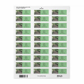 Lion Return Address Labels (Full Sheet)