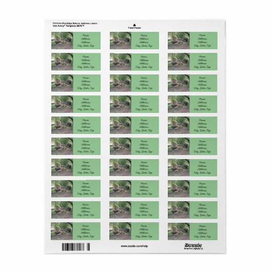 Lion Return Address Labels (Full Sheet)