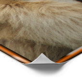 LION ROAR POSTER (Hoek)