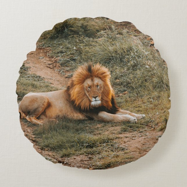 LION ROND KUSSEN (Voorkant)
