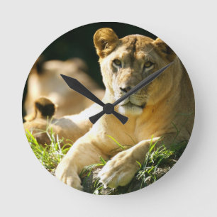 Lion Ronde Klok