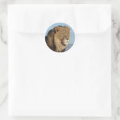 Lion Ronde Sticker (Tas)