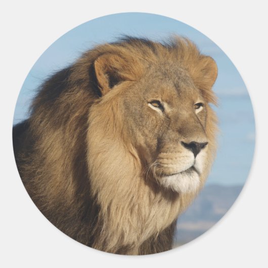 Lion Ronde Sticker (Voorkant)