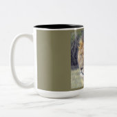 Lion Safari 2-toonse mok (Links)