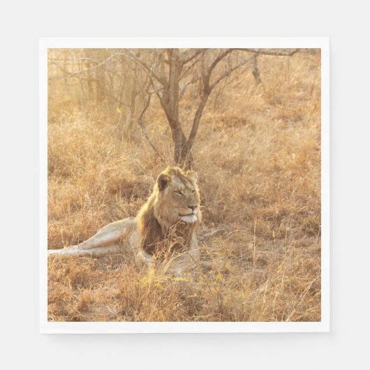 Lion Servet (Voorkant)