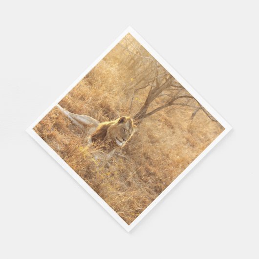 Lion Servet (Hoek)
