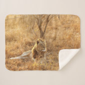 Lion Sherpa Blanket Deken (Voorkant (horizontaal))