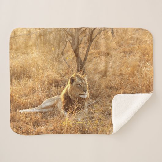 Lion Sherpa Blanket Deken (Voorkant (horizontaal))