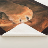 Lion Sherpa Deken (3/4)