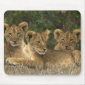 Lion Siblings Muismat (Voorkant)