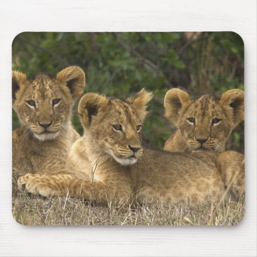 Lion Siblings Muismat (Voorkant)