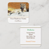 Lion Sitting on Rock King of the Hill Vierkante Visitekaartje (Voorkant / Achterkant)