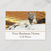 Lion Sitting on Rock Stunning Sunset Visitekaartje (Voorkant)