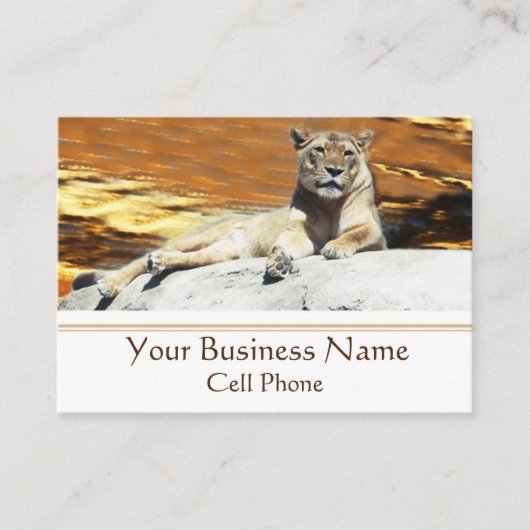 Lion Sitting on Rock Stunning Sunset Visitekaartje (Voorkant)