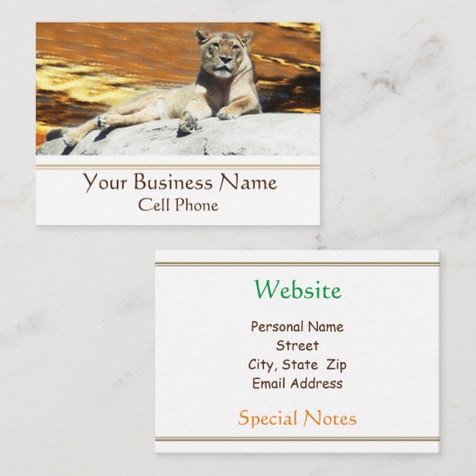 Lion Sitting on Rock Stunning Sunset Visitekaartje (Voorkant / Achterkant)