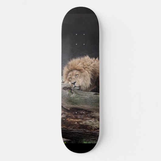 Lion Skateboard (Voorkant)