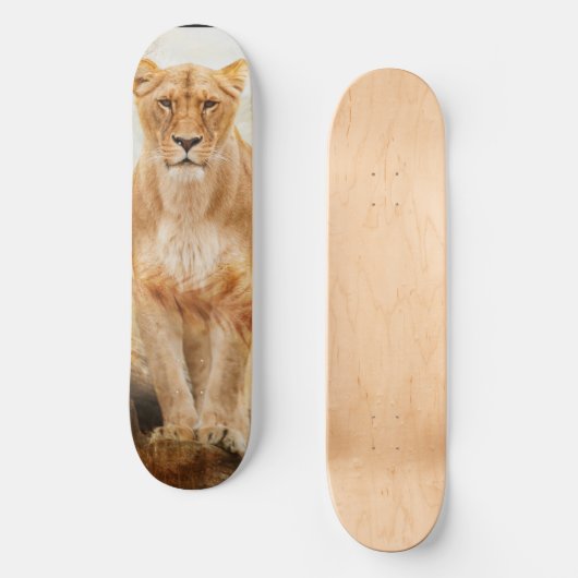 Lion Skateboard (Voorkant)
