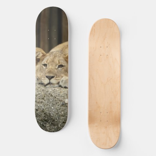 Lion Skateboard (Voorkant)