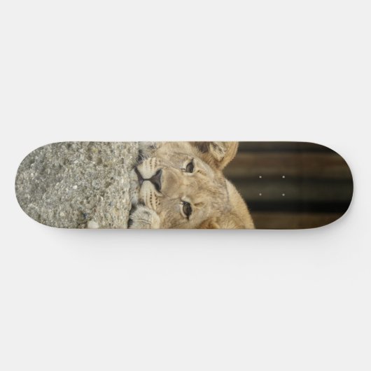 Lion Skateboard (Horizontaal)