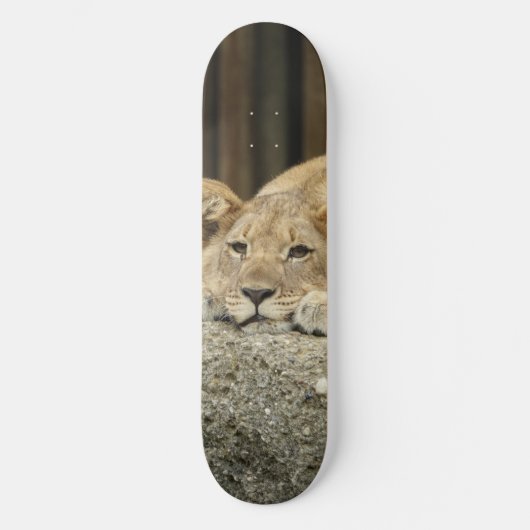 Lion Skateboard (Voorkant)