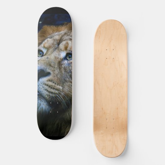 Lion Skateboard (Voorkant)
