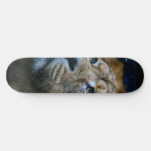Lion Skateboard (Horizontaal)