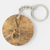Lion Sleutelhanger (Achterkant)