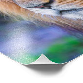 Lion sluiten foto afdruk (Hoek)