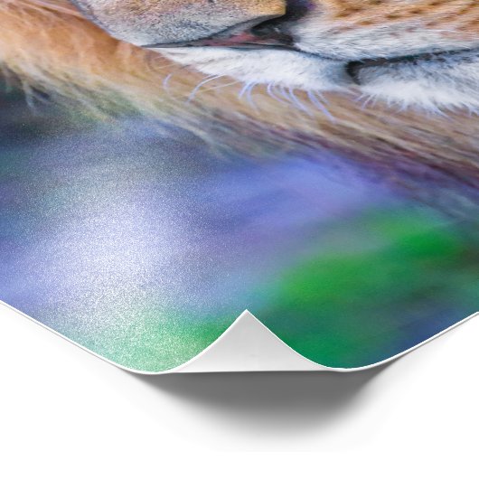 Lion sluiten foto afdruk (Hoek)