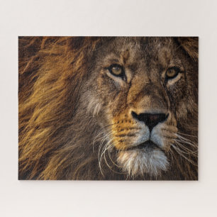 Lion sluiten, volwassen man legpuzzel