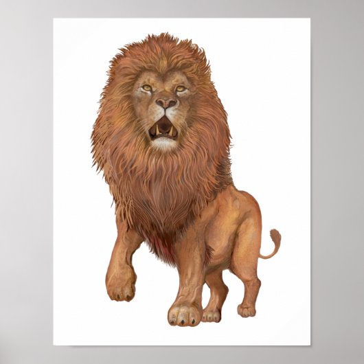 Lion Small Poster (Voorkant)
