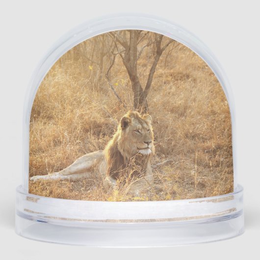 Lion Sneeuwbol (Voorkant)