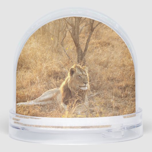 Lion Sneeuwbol (Achterkant)