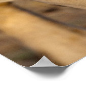 Lion Stalking Poster (Hoek)