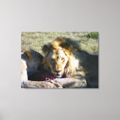 Lion Stare Stretched Canvas Afdruk (Voorkant)