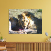 Lion Stare Stretched Canvas Afdruk (Insitu (Woonkamer))