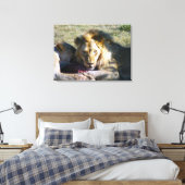 Lion Stare Stretched Canvas Afdruk (Insitu (Slaapkamer))