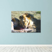 Lion Stare Stretched Canvas Afdruk (Insitu (Houten vloer))
