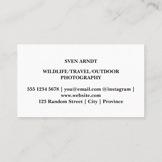 Lion Stare | Wildlife fotografie | Visitekaartje (Achterkant)