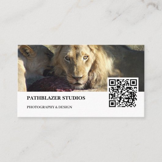 Lion Stare | Wildlife fotografie | Visitekaartje (Voorkant)