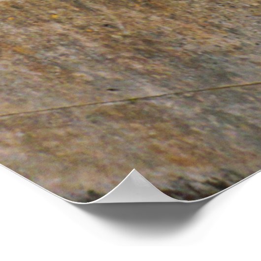 Lion Statue Poster (Hoek)