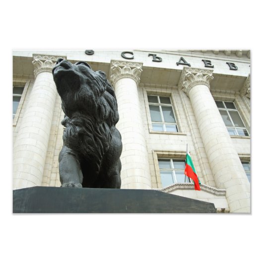 Lion statue, Sofia, Bulgarije Foto Afdruk (Voorkant)