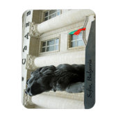 Lion statue, Sofia, Bulgarije Magneet (Verticaal)