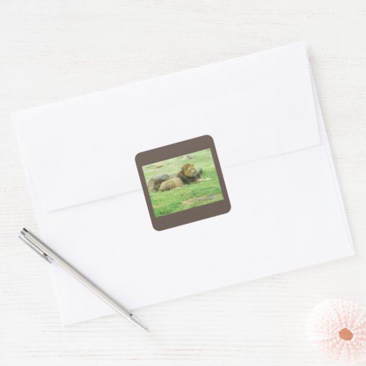 Lion Sticker (Envelop)