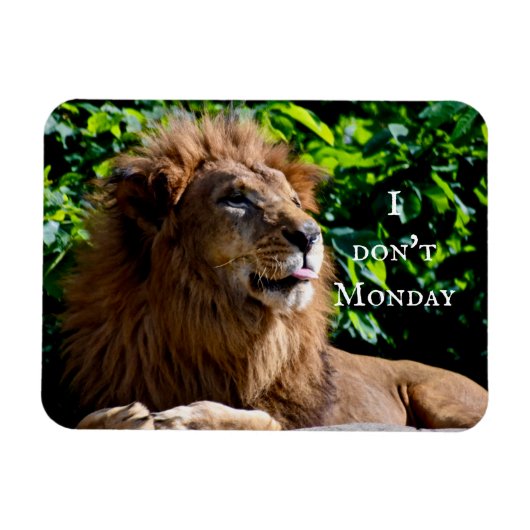 Lion Sticking tongue uit- ik doe het niet op maand Magneet (Horizontaal)