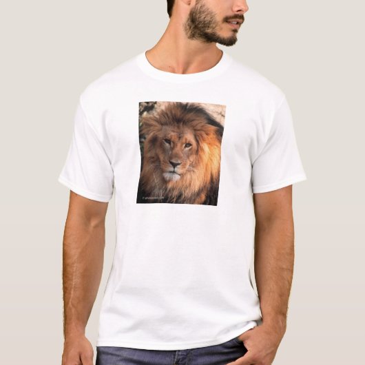 Lion T-shirt (Voorkant)