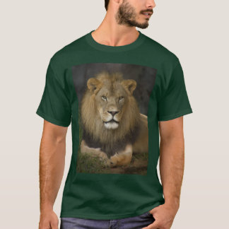 Lion T-shirt